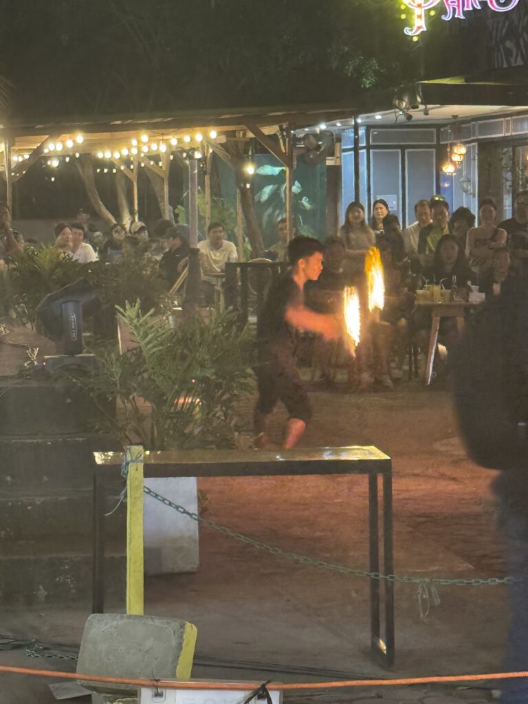 알로나비치불쇼