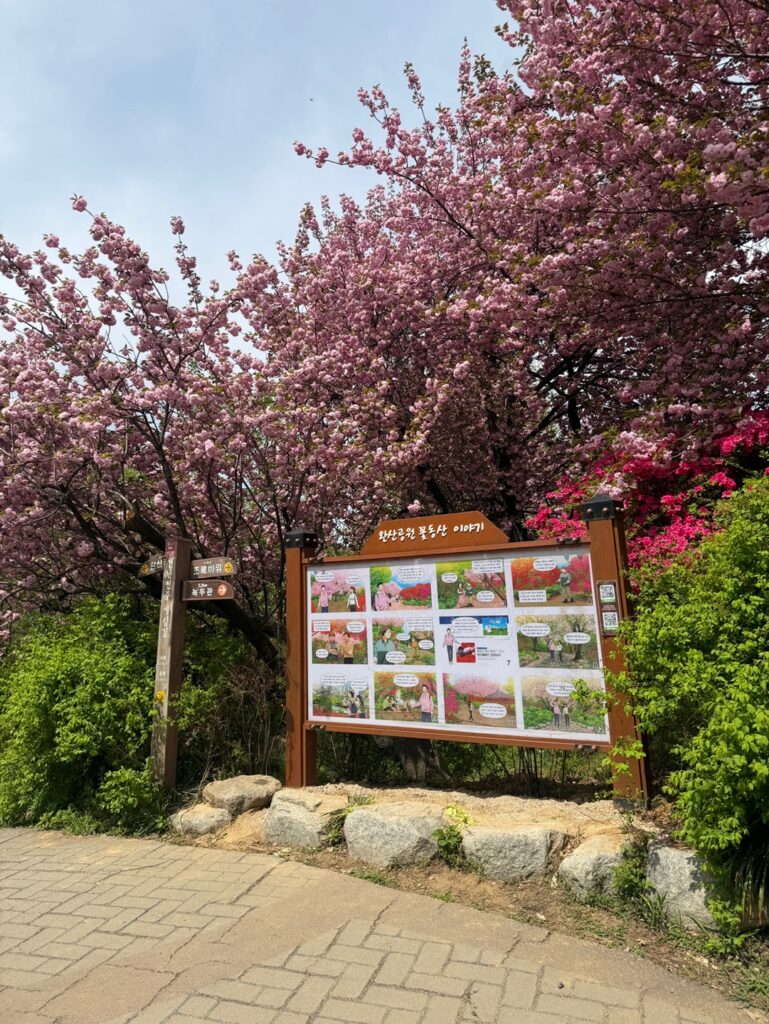 전주 완산공원